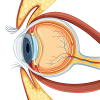 Cornea treatment & Contact lens service